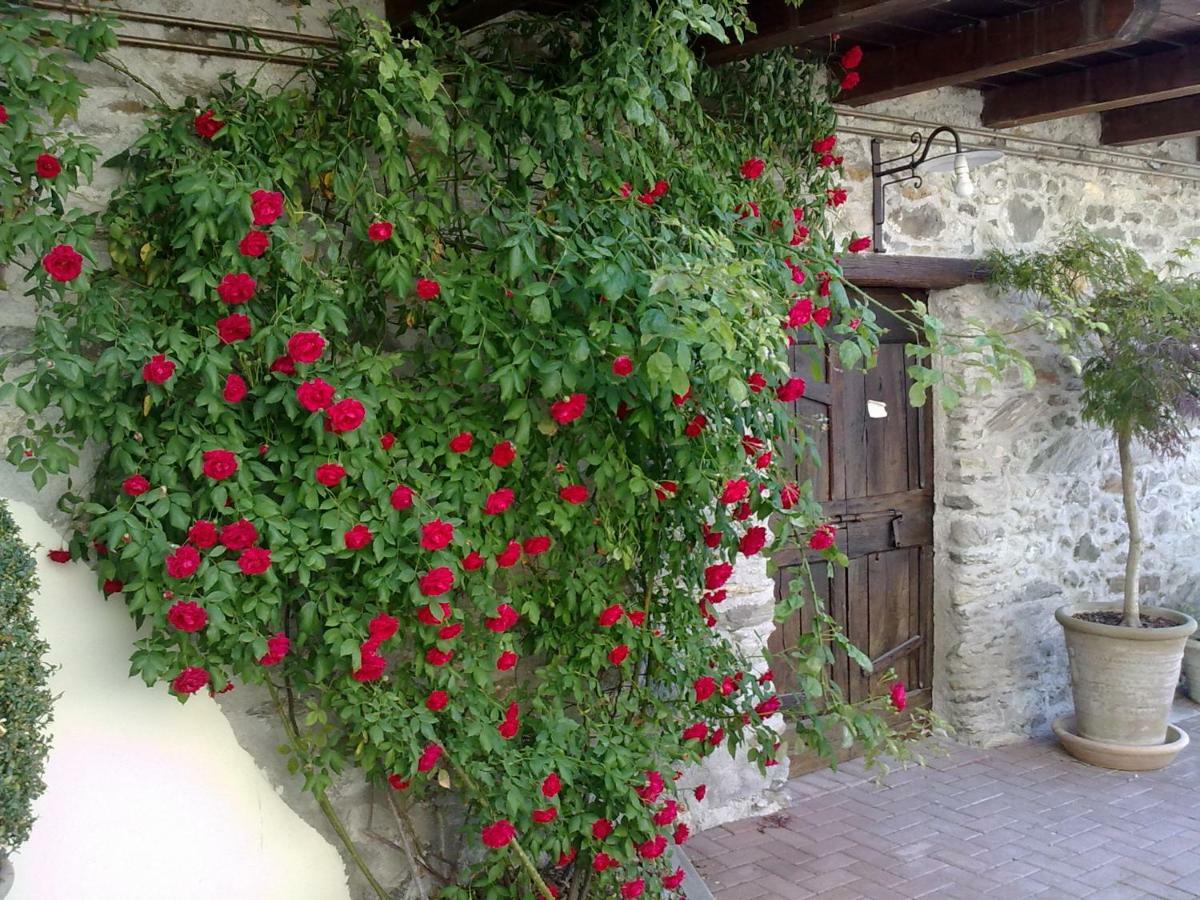 Residenza Antica Corte Villa Picta Buglio in Monte Exterior foto
